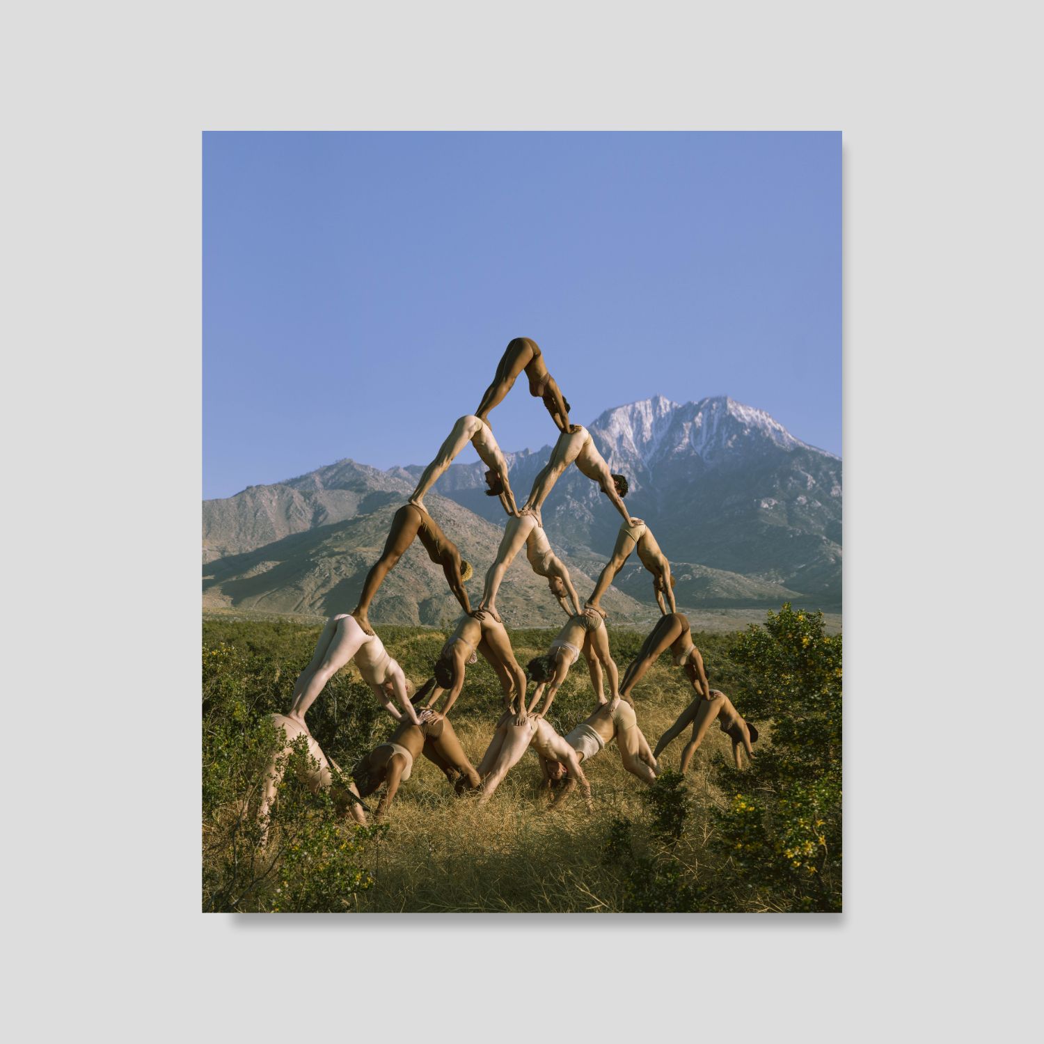 Arma Gallery - Contemporary Art - Artist - Rob Woodcox - 3