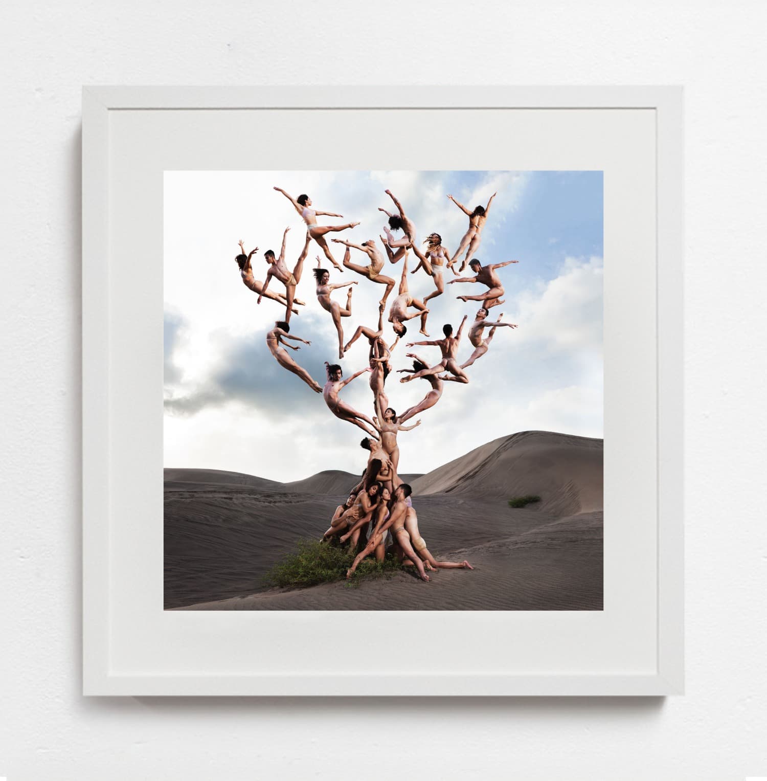 ARMA Gallery - Contemporary Art - Erarta Prize - Maco 2025 - Rob Woodcox - Winner - 8