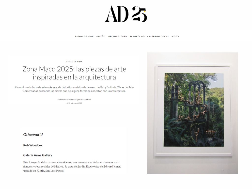 ARMA Gallery - Contemporary Art - Erarta Prize - Maco 2025 - Rob Woodcox - Winner - AD 25