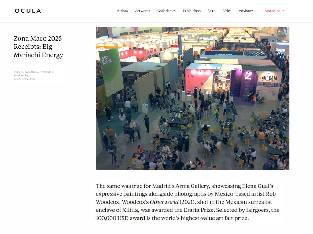 ARMA Gallery - Contemporary Art - Erarta Prize - Maco 2025 - Rob Woodcox - Winner - ocula