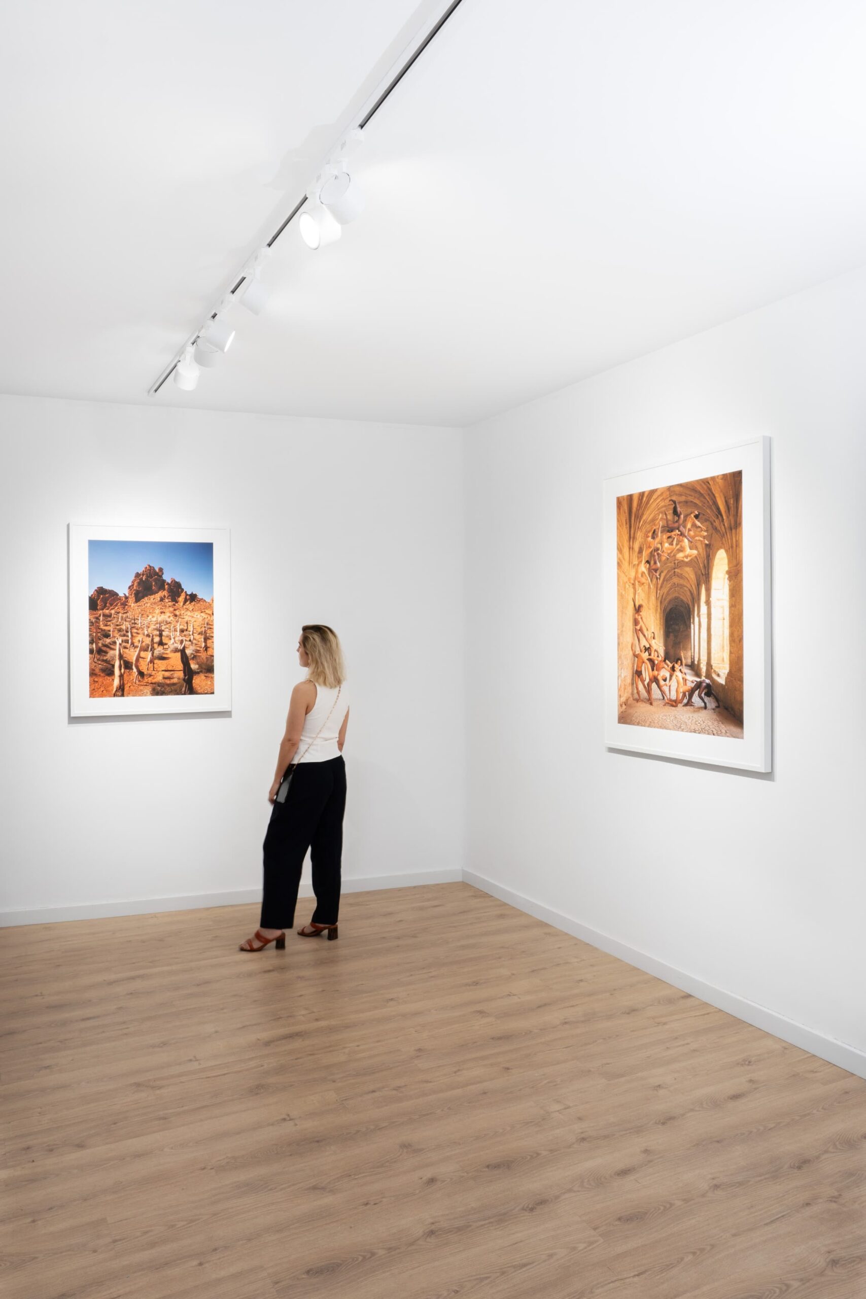 ARMA Gallery - Contemporary Art - Rob Woodcox - Solo Show - Content - 2 scaled